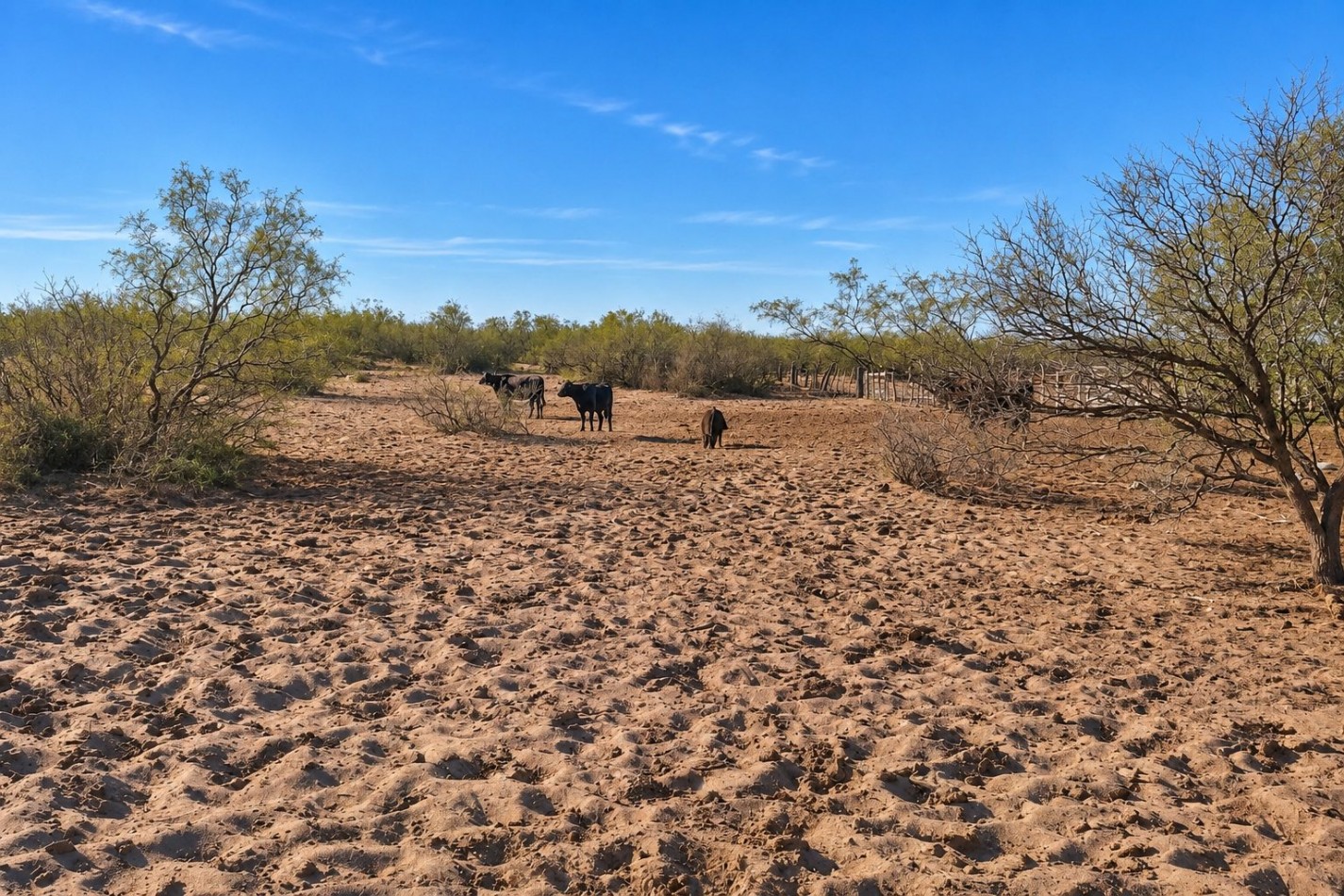 INMOESTATE VENDE CAMPO GANADERO EN SAN RAFAEL, MENDOZA