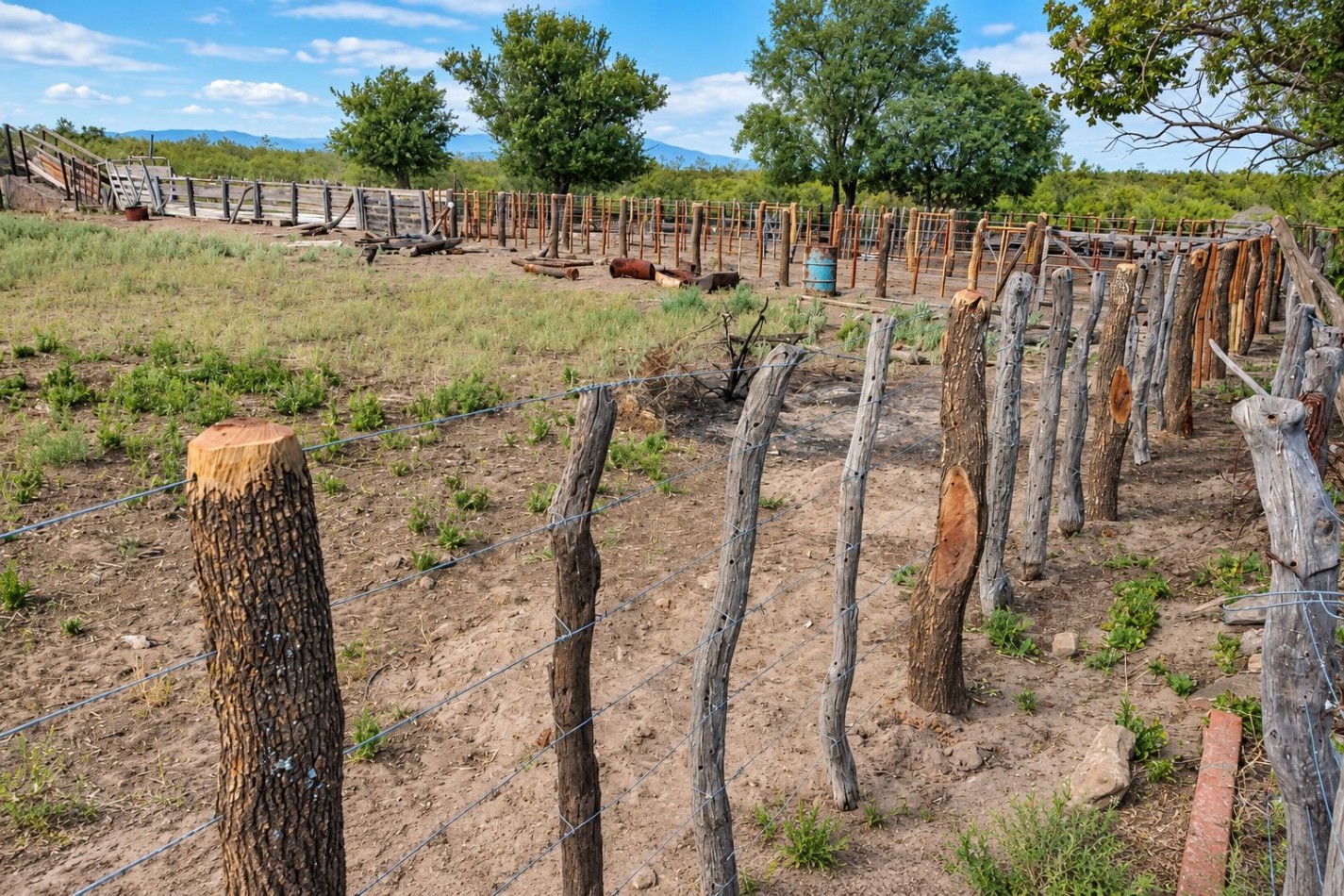 INMOESTATE VENDE CAMPO GANADERO EN SAN RAFAEL, MENDOZA