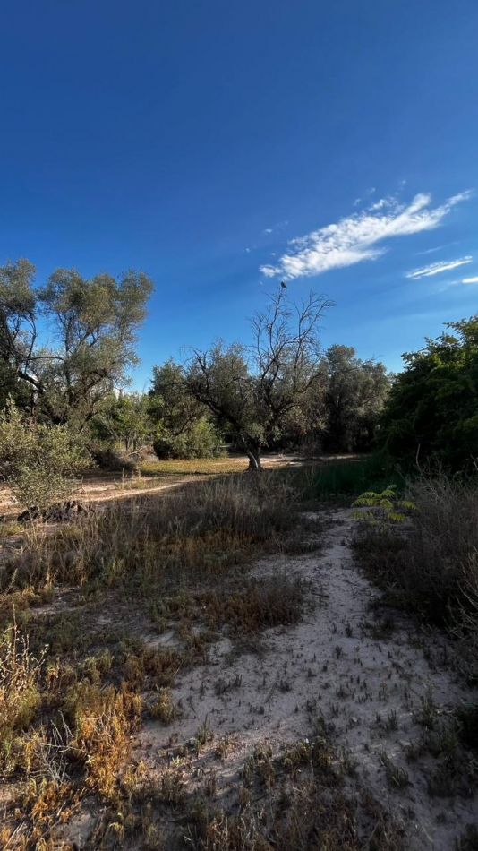 INMOESTATE VENDE LOTE EN CHACRAS DE CORIA, LUJAN DE CUYO, MENDOZA