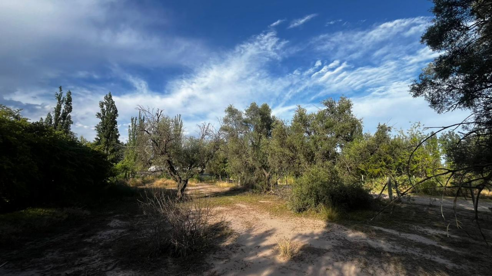 INMOESTATE VENDE LOTE EN CHACRAS DE CORIA, LUJAN DE CUYO, MENDOZA