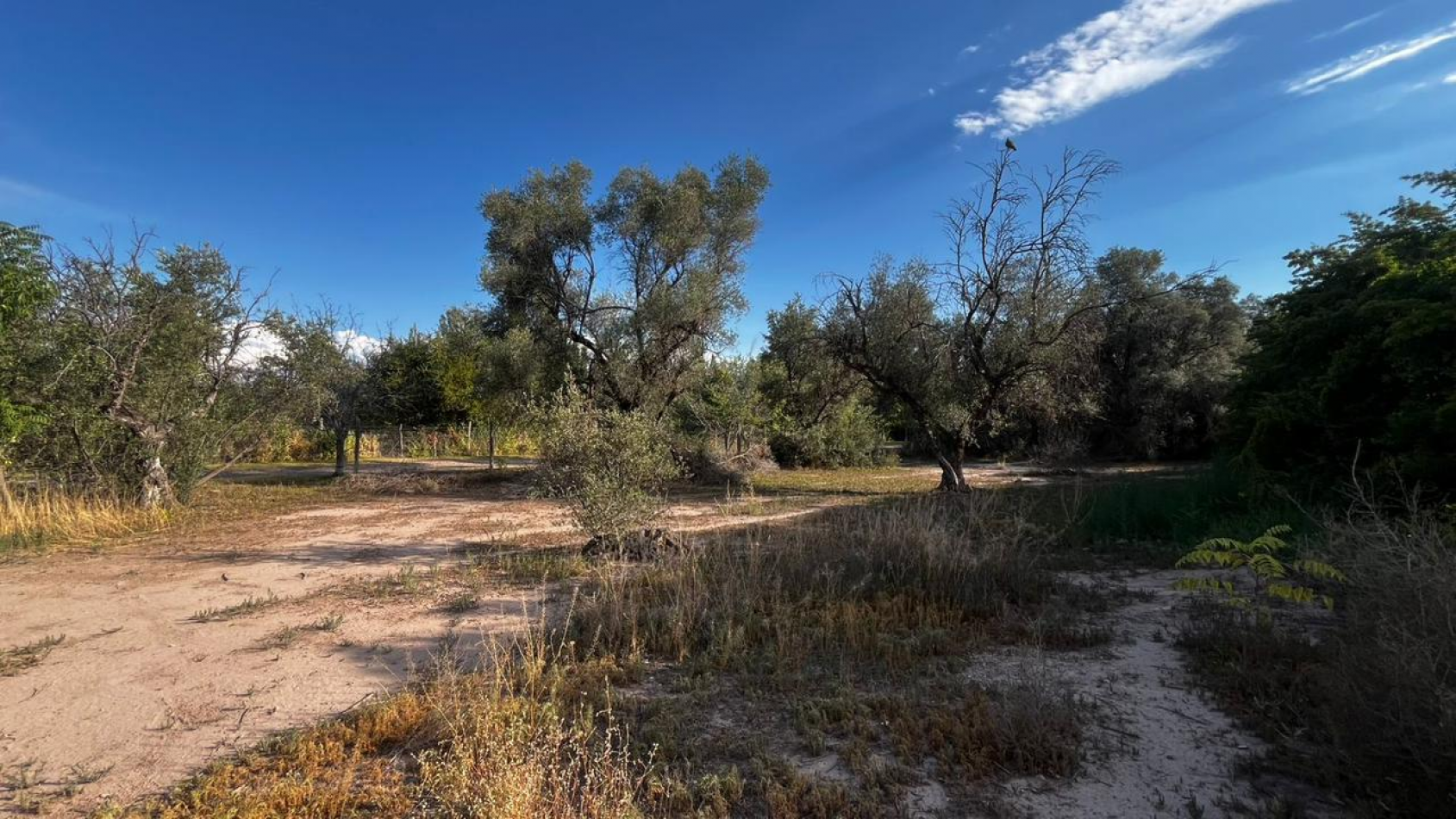 INMOESTATE VENDE LOTE EN CHACRAS DE CORIA, LUJAN DE CUYO, MENDOZA