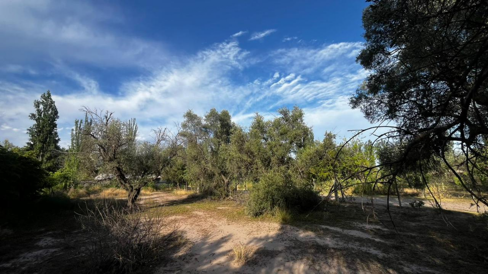 INMOESTATE VENDE LOTE EN CHACRAS DE CORIA, LUJAN DE CUYO, MENDOZA