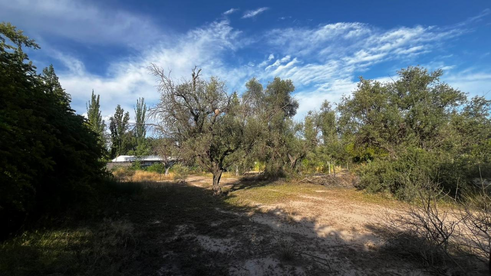 INMOESTATE VENDE LOTE EN CHACRAS DE CORIA, LUJAN DE CUYO, MENDOZA
