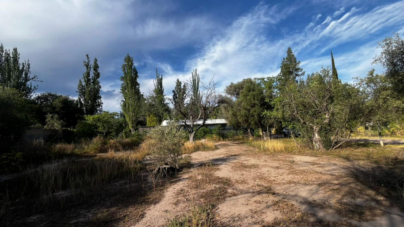INMOESTATE VENDE LOTE EN CHACRAS DE CORIA, LUJAN DE CUYO, MENDOZA
