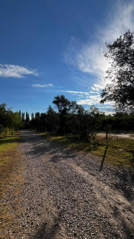 INMOESTATE VENDE LOTE EN CHACRAS DE CORIA, LUJAN DE CUYO, MENDOZA