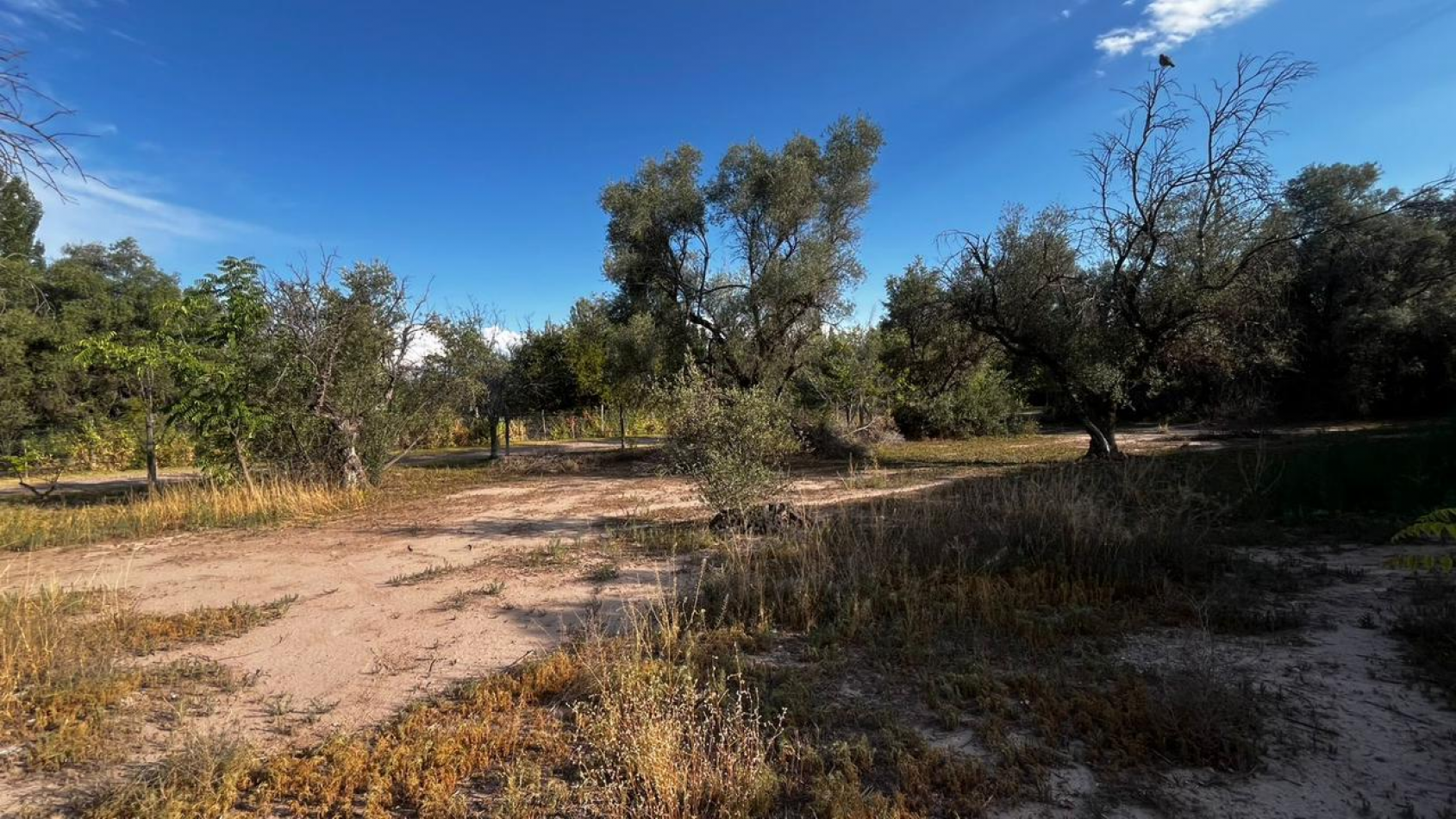 INMOESTATE VENDE LOTE EN CHACRAS DE CORIA, LUJAN DE CUYO, MENDOZA