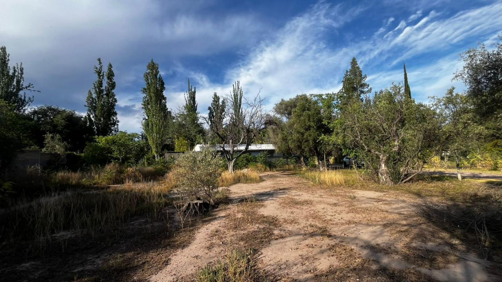 INMOESTATE VENDE LOTE EN CHACRAS DE CORIA, LUJAN DE CUYO, MENDOZA