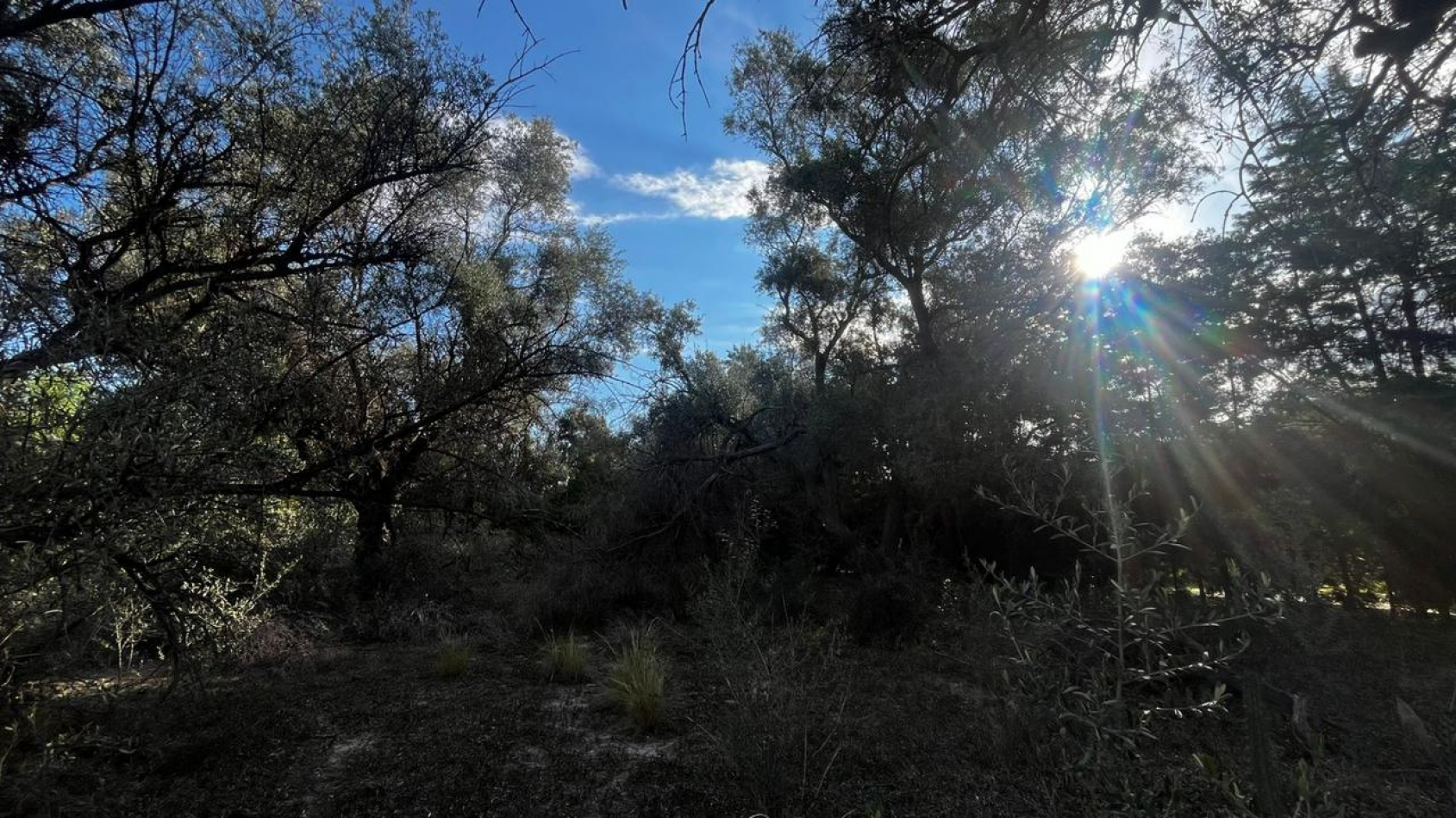 INMOESTATE VENDE LOTE EN CHACRAS DE CORIA, LUJAN DE CUYO, MENDOZA