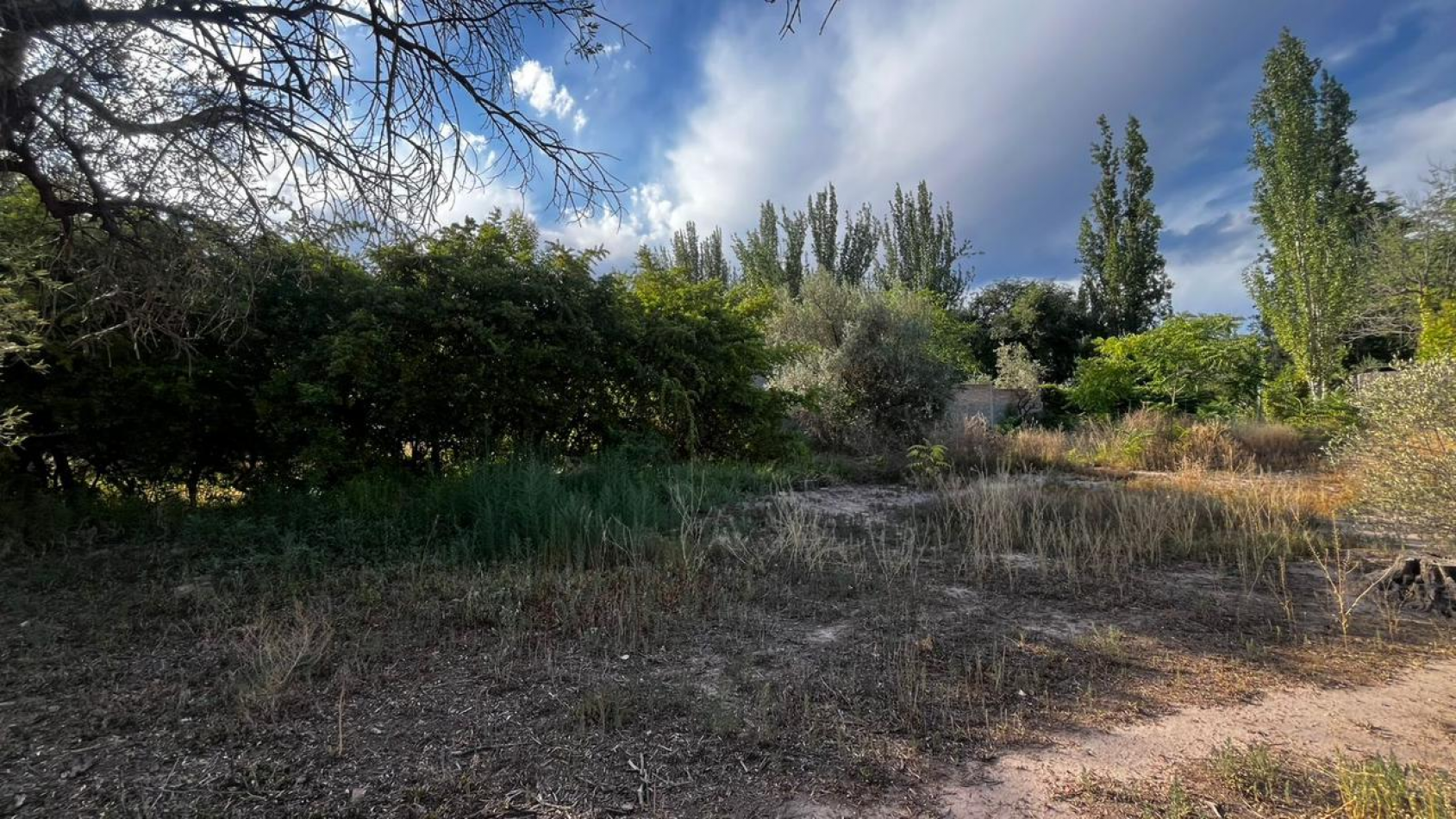 INMOESTATE VENDE LOTE EN CHACRAS DE CORIA, LUJAN DE CUYO, MENDOZA