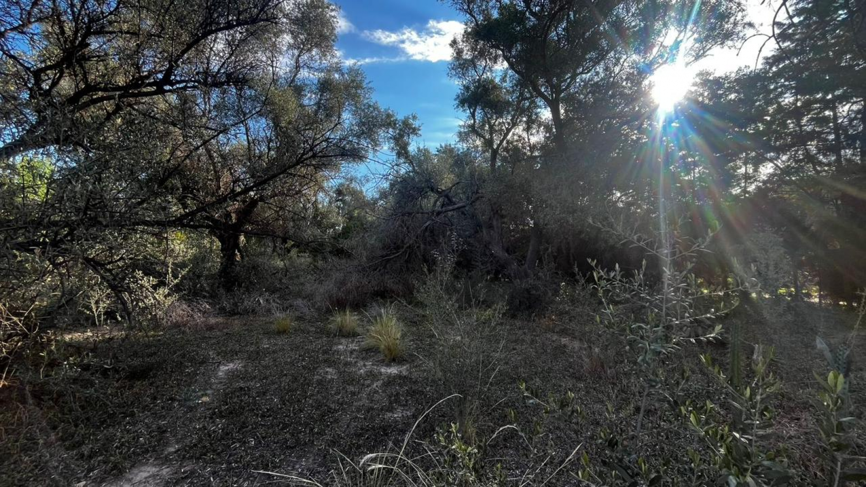 INMOESTATE VENDE LOTE EN CHACRAS DE CORIA, LUJAN DE CUYO, MENDOZA