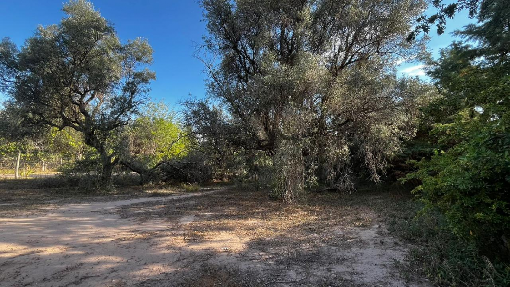 INMOESTATE VENDE LOTE EN CHACRAS DE CORIA, LUJAN DE CUYO, MENDOZA