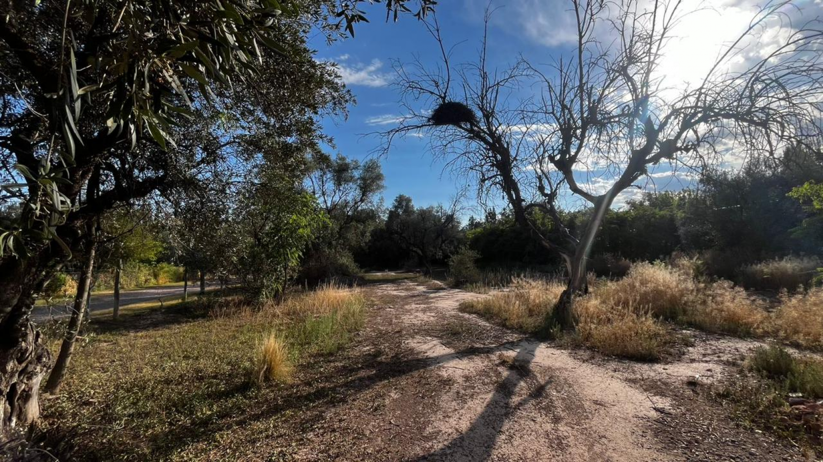 INMOESTATE VENDE LOTE EN CHACRAS DE CORIA, LUJAN DE CUYO, MENDOZA