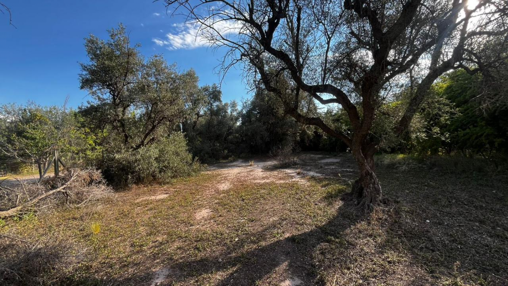 INMOESTATE VENDE LOTE EN CHACRAS DE CORIA, LUJAN DE CUYO, MENDOZA
