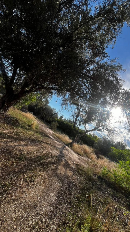 INMOESTATE VENDE LOTE EN CHACRAS DE CORIA, LUJAN DE CUYO, MENDOZA