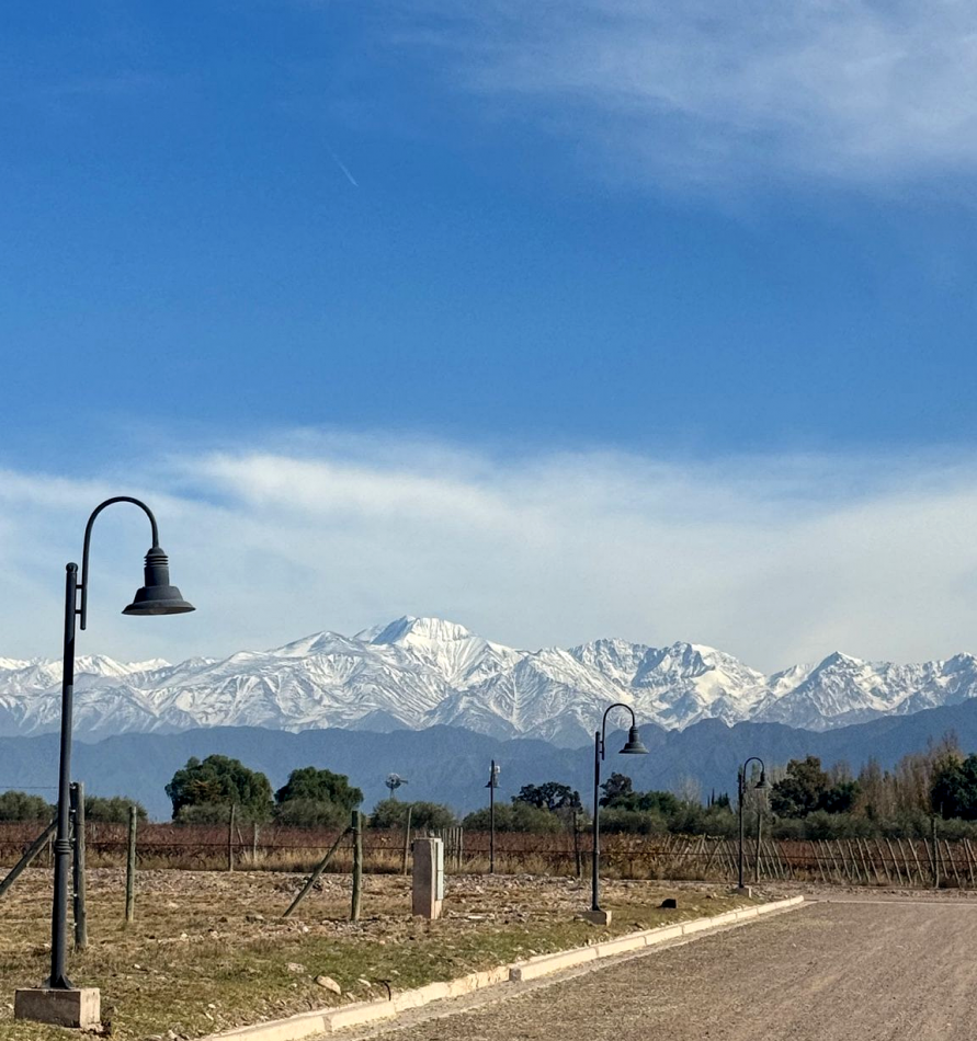 INMOESTATE VENDE LOTES EXCLUSIVOS EN COMPLEJO CARRASCAL - LUNLUNTA, LUJAN DE CUYO, MENDOZA