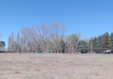 INMOESTATE VENDE LOTE EN MALARGUE, MENDOZA