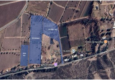 INMOESTATE VENDE LOTE EN PERDRIEL, MENDOZA