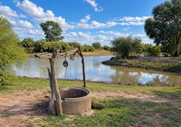INMOESTATE VENDE CAMPO EN LAVALLE, MENDOZA