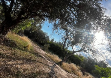 INMOESTATE VENDE LOTE EN CHACRAS DE CORIA, LUJAN DE CUYO, MENDOZA